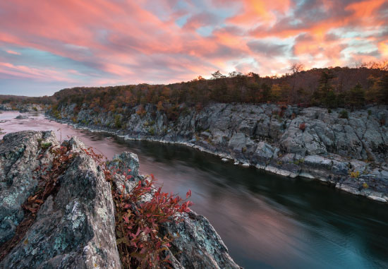 MarkVanDykePhotography/shutterstock.com