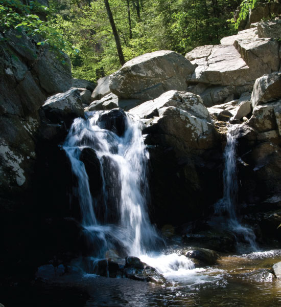 Photo By Don Sweeney/Fairfax County Parks Authority