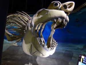 Calvert Marine Museum